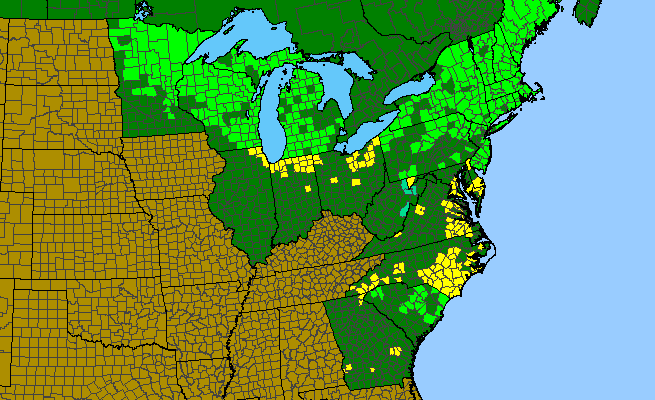 The range of Sarracenia purpurea var. purpurea
